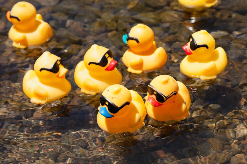Rotary Rubber Duck Race